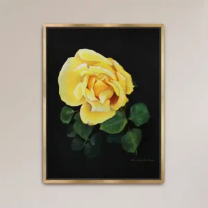 Yellow Rose Fine Art Print