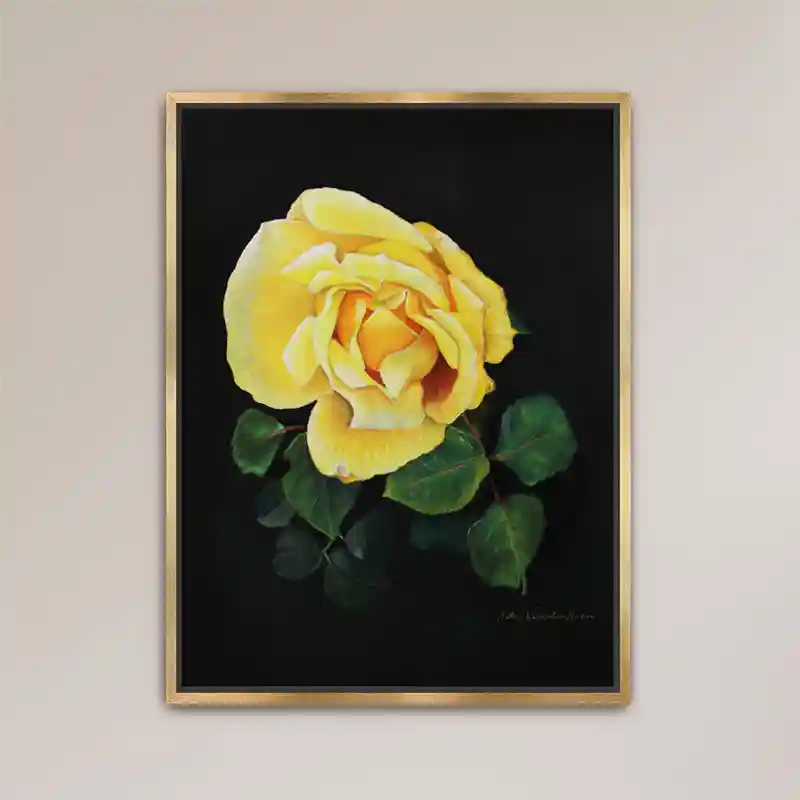 Framed print of Yellow Rose