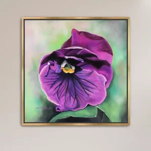 Purple Viola Fine Art Print