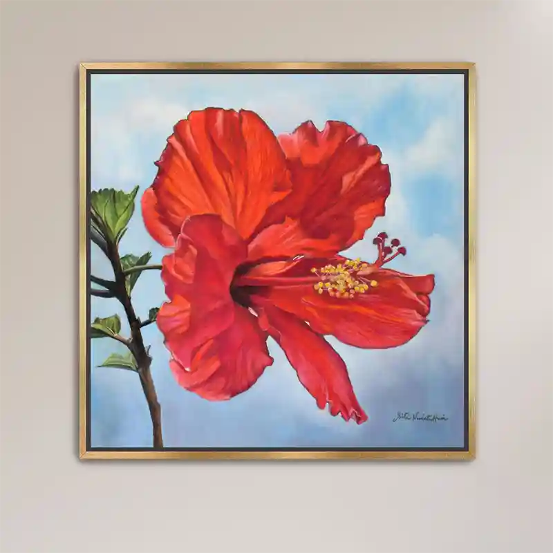 Framed print of Hibiscus