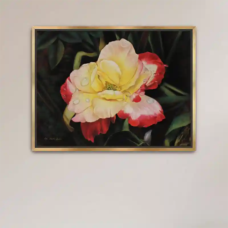 Framed print of Adha Rose