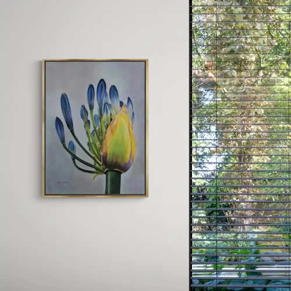 Agapanthus Fine Art Print - Image 3