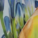 Closeup of Agapanthus