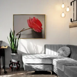 Camellia Fine Art Print