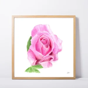 Graceful Rose Daily Painting Art Print