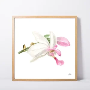 Orchid Daily Painting Art Print