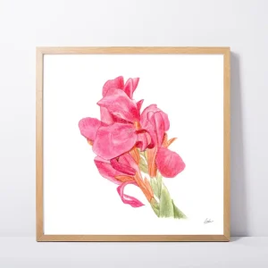 Canna Flowers Daily Painting Art Print
