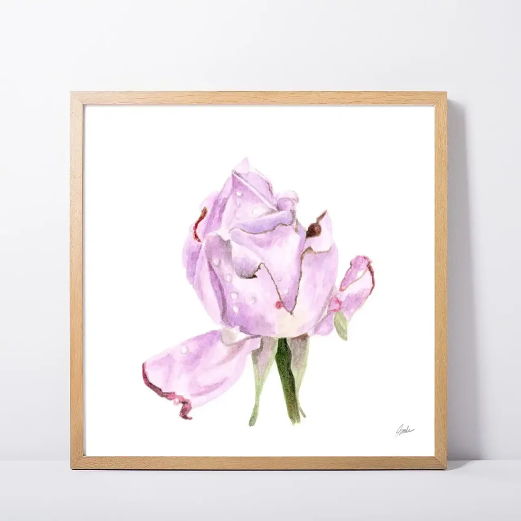 Light Purple Rose Rose Daily Painting Art Print