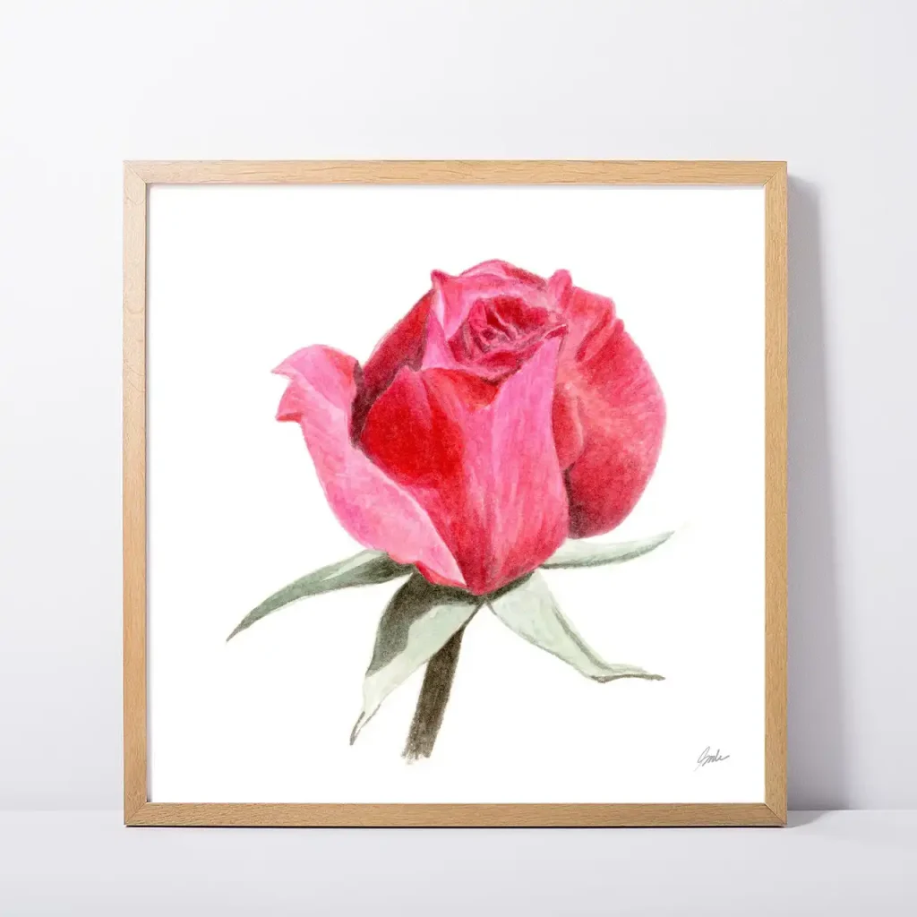 Red Rose Daily Painting Art Print