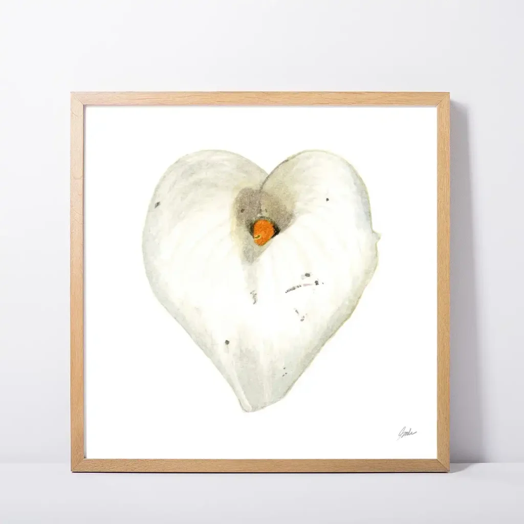 Framed White Calla Lily