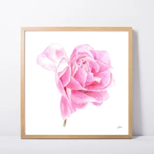 Dancing Rose Daily Painting Art Print