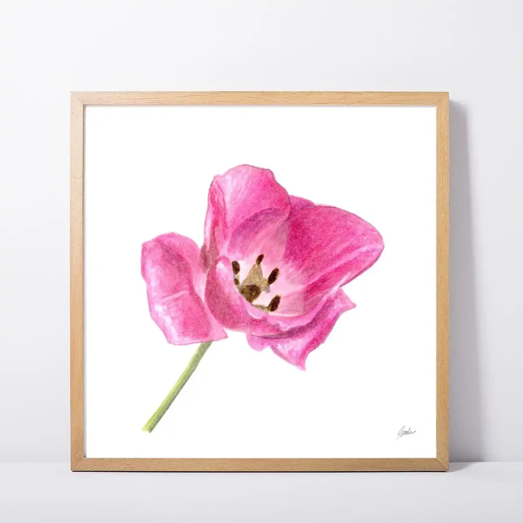 Framed Bloomed Tulip Art Print