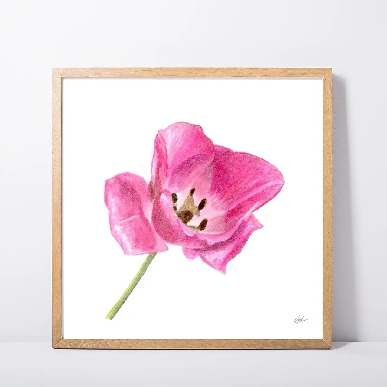 Framed Bloomed Tulip Art Print