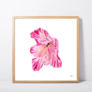 Pink Striped Flower Daily Painting Art Print